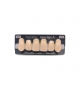 NOVO LIGN A VENEER ANT I47 UPPER A3 6 pc ASST 13, 12, 11, 21, 22, 23