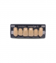 NOVO LIGN A VENEER ANT I47 UPPER A4 6 pc ASST 13, 12, 11, 21, 22, 23