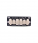 NOVO LIGN A VENEER ANT I47 UPPER B1 6 pc ASST 13, 12, 11, 21, 22, 23