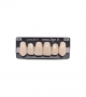NOVO LIGN A VENEER ANT I47 UPPER B2 6 pc ASST 13, 12, 11, 21, 22, 23