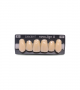 NOVO LIGN A VENEER ANT I47 UPPER B3 6 pc ASST 13, 12, 11, 21, 22, 23