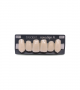 NOVO LIGN A VENEER ANT I47 UPPER C1 6 pc ASST 13, 12, 11, 21, 22, 23
