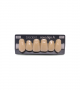 NOVO LIGN A VENEER ANT I47 UPPER C4 6 pc ASST 13, 12, 11, 21, 22, 23