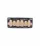 NOVO LIGN A VENEER ANT I47 UPPER D2 6 pc ASST 13, 12, 11, 21, 22, 23