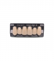NOVO LIGN A VENEER ANT I47 UPPER D3 6 pc ASST 13, 12, 11, 21, 22, 23
