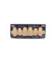 NOVO LIGN A VENEER ANT I47 UPPER D4 6 pc ASST 13, 12, 11, 21, 22, 23