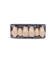 NOVO LIGN A VENEER ANT K53 UPPER A2 6 pc ASST 13, 12, 11, 21, 22, 23