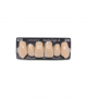 NOVO LIGN A VENEER ANT K53 UPPER A3 6 pc ASST 13, 12, 11, 21, 22, 23