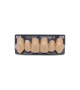 NOVO LIGN A VENEER ANT K53 UPPER A4 6 pc ASST 13, 12, 11, 21, 22, 23