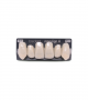 NOVO LIGN A VENEER ANT K53 UPPER B1 6 pc ASST 13, 12, 11, 21, 22, 23