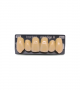 NOVO LIGN A VENEER ANT K53 UPPER B4 6 pc ASST 13, 12, 11, 21, 22, 23