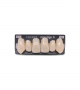 NOVO LIGN A VENEER ANT K53 UPPER C1 6 pc ASST 13, 12, 11, 21, 22, 23