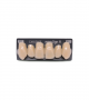 NOVO LIGN A VENEER ANT K53 UPPER C2 6 pc ASST 13, 12, 11, 21, 22, 23