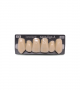 NOVO LIGN A VENEER ANT K53 UPPER C3 6 pc ASST 13, 12, 11, 21, 22, 23