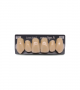 NOVO LIGN A VENEER ANT K53 UPPER C4 6 pc ASST 13, 12, 11, 21, 22, 23