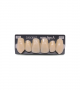NOVO LIGN A VENEER ANT K53 UPPER D2 6 pc ASST 13, 12, 11, 21, 22, 23