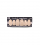 NOVO LIGN A VENEER ANT M48 UPPER A2 6 pc ASST 13, 12, 11, 21, 22, 23