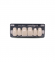 NOVO LIGN A VENEER ANT M48 UPPER B1 6 pc ASST 13, 12, 11, 21, 22, 23