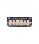 NOVO LIGN A VENEER ANT M48 UPPER B2 6 pc ASST 13, 12, 11, 21, 22, 23