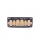 NOVO LIGN A VENEER ANT M48 UPPER B3 6 pc ASST 13, 12, 11, 21, 22, 23