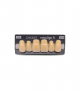 NOVO LIGN A VENEER ANT M48 UPPER B4 6 pc ASST 13, 12, 11, 21, 22, 23
