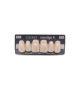 NOVO LIGN A VENEER ANT M48 UPPER C1 6 pc ASST 13, 12, 11, 21, 22, 23