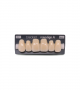 NOVO LIGN A VENEER ANT M48 UPPER C2 6 pc ASST 13, 12, 11, 21, 22, 23