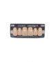 NOVO LIGN A VENEER ANT M48 UPPER C3 6 pc ASST 13, 12, 11, 21, 22, 23