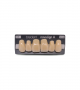 NOVO LIGN A VENEER ANT M48 UPPER C4 6 pc ASST 13, 12, 11, 21, 22, 23