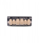 NOVO LIGN A VENEER ANT M48 UPPER D3 6 pc ASST 13, 12, 11, 21, 22, 23