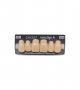 NOVO LIGN A VENEER ANT M48 UPPER D4 6 pc ASST 13, 12, 11, 21, 22, 23