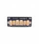 NOVO LIGN A VENEER ANT S46 UPPER A3.5 6 pc ASST 13, 12, 11, 21, 22, 23