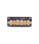 NOVO LIGN A VENEER ANT S46 UPPER A4 6 pc ASST 13, 12, 11, 21, 22, 23