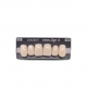 NOVO LIGN A VENEER ANT S46 UPPER B2 6 pc ASST 13, 12, 11, 21, 22, 23