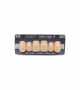 NOVO LIGN A VENEER ANT S46 UPPER B3 6 pc ASST 13, 12, 11, 21, 22, 23