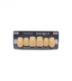 NOVO LIGN A VENEER ANT S46 UPPER B4 6 pc ASST 13, 12, 11, 21, 22, 23
