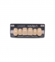 NOVO LIGN A VENEER ANT S46 UPPER C2 6 pc ASST 13, 12, 11, 21, 22, 23
