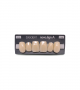 NOVO LIGN A VENEER ANT S46 UPPER C3 6 pc ASST 13, 12, 11, 21, 22, 23