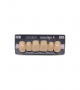 NOVO LIGN A VENEER ANT S46 UPPER C4 6 pc ASST 13, 12, 11, 21, 22, 23