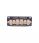 NOVO LIGN A VENEER ANT S46 UPPER D2 6 pc ASST 13, 12, 11, 21, 22, 23