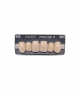 NOVO LIGN A VENEER ANT S46 UPPER D3 6 pc ASST 13, 12, 11, 21, 22, 23