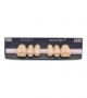 NOVO LIGN P VENEER POST WL3 UPPER A3 6 pc ASST 14, 15, 16/24, 25, 26