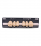 NOVO LIGN P VENEER POST WL3 UPPER A3 6 pc