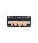 NOVO LIGN P VENEER POST G3 LOWER B2 4 pc ASST 34, 35, 36, 37