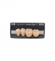 NOVO LIGN P VENEER POST G3 LOWER B3 4 pc ASST 34, 35, 36, 37