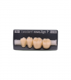 NOVO LIGN P VENEER POST G3 LOWER B3 4 pc