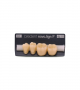 NOVO LIGN P VENEER POST G3 LOWER B4 4 pc ASST 34, 35, 36, 37