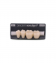 NOVO LIGN P VENEER POST G3 LOWER C1 4 pc