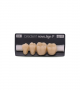 NOVO LIGN P VENEER POST G3 LOWER C4 4 pc ASST 34, 35, 36, 37