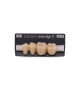 NOVO LIGN P VENEER POST G3 LOWER C4 4 pc